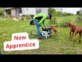 Building a stair safety gate for our new puppy