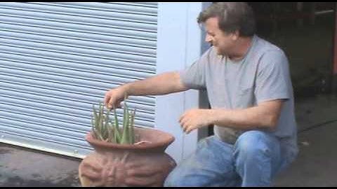 Welding Health and Safety: Using Aloe - Kevin Caron