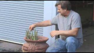 Welding Health and Safety: Using Aloe - Kevin Caron