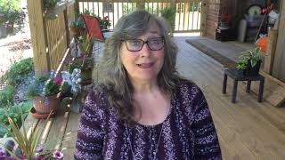 Suehall Music 3A Song Love, Love Lesson 1