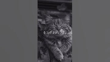 الذي خلقني فهو يهدين/سورة الشعراء القارئ ياسر الدوسري