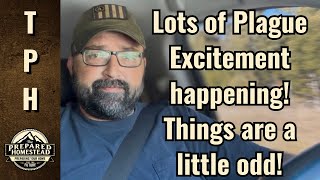 Lots of Plague Excitement happening! Things are a little odd!