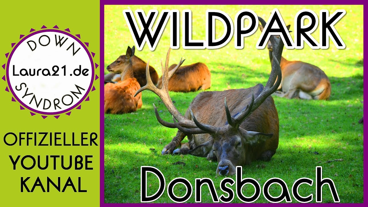 Streichelzoo mit Ziegen - Wildpark Donsbach | Down-Syndrom