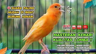 Masteran Kenari PAUD & Pancingan Kenari MACET BUNYI‼️ Terapi AMPUH Bikin Kenari GACOR (Episode 160)