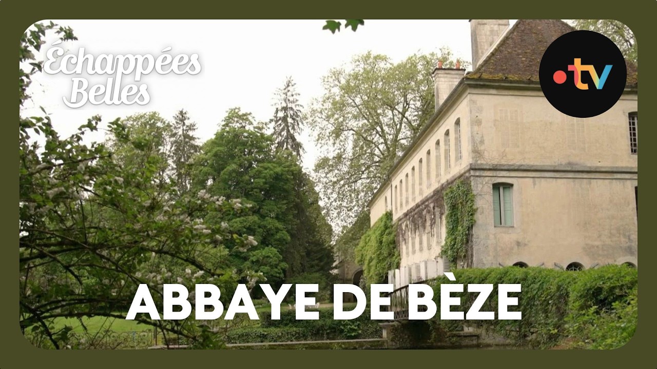 Week-end à Dijon : l'Abbaye de Bèze et ses grottes - Échappées Belles 23 novembre 2024