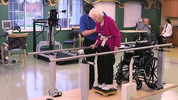 Parallel Bars - Road to Recovery