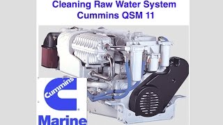 Using Sea Flush and Barnacle Buster to clean the Mufflers on a 48' Sea Ray with Cummins QSM 11s