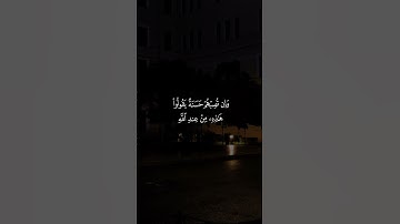 قرآن كريم 🌷 #استغفرالله #سبحان_الله #قران_كريم #لايك