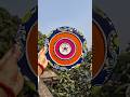 Hand Painted Decorative Plate 🎨 | Satisfying Mandala Art #shorts #lipanart #art #decorideas #viral