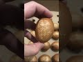 Incredible artwork on egg shells 🎨