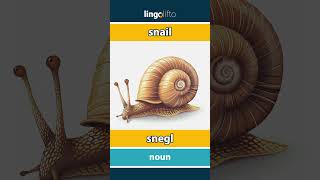 Snail - Snegl Vocabulary Builder Learn English Lad Os Lære Engelsk