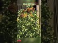 🤣👌👌👌2025 pov Must-Watch Crazy Clips Compilation #humor #fypシ #pov #fyp #foryou 😍😜 (7)