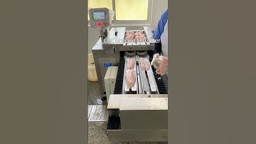 Automatic CNC fish slicer for factory