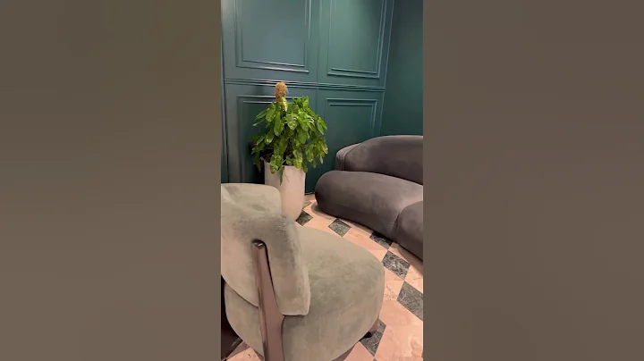 sofa|curved sofa|furniture|interiordesign|sofa design|luxury sofa|modern sofa design