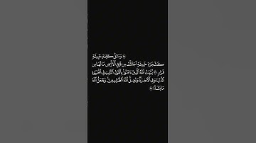 الشيخ #عبدالبديع_غيلان #سورة_ابراهيم