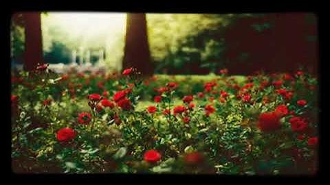 🍃.🌷.🍃تلاوه بالمقام العراقي🍃.🌷.🍃 مع القارئ يوسف السعيد 🍃.🌷.🍃