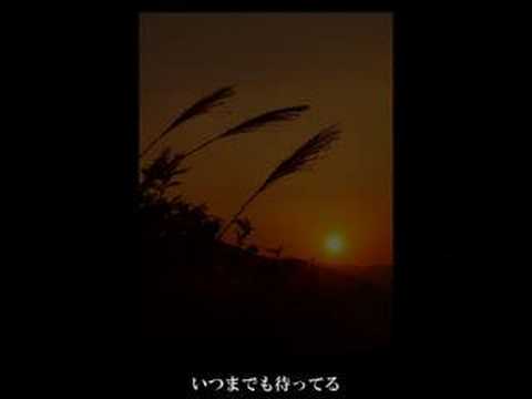 瞳の欠片 (Version Jポーク♀)