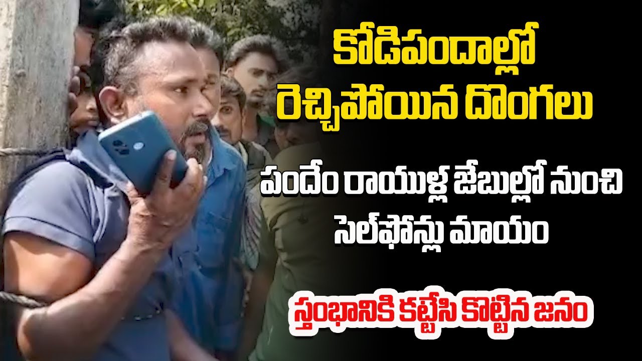 Mobile Phone Thief Caught at Vissannapeta Cockfights During Sankranti Celebrations