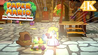 Paper Mario The Thousand-Year Door Switch - Intro (4K) by Beta Brawler 340 views 9 days ago 5 minutes, 15 seconds