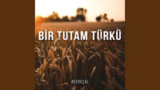 Harman Yeri Sürseler (Akustik)