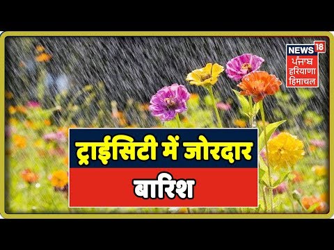 ट्राईसिटी में जोरदार बारिश | News18 Himachal Haryana Punjab | News18 Live | Chandigarah Live News