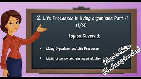 Life Processes in living organisms Part 1|Science 2 - Chapter 2| Life Processes & energy production