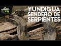 EL SENDERO DE LAS SERPIENTES EN GORGONA || CaminanTr3s, El tercero eres tú!!