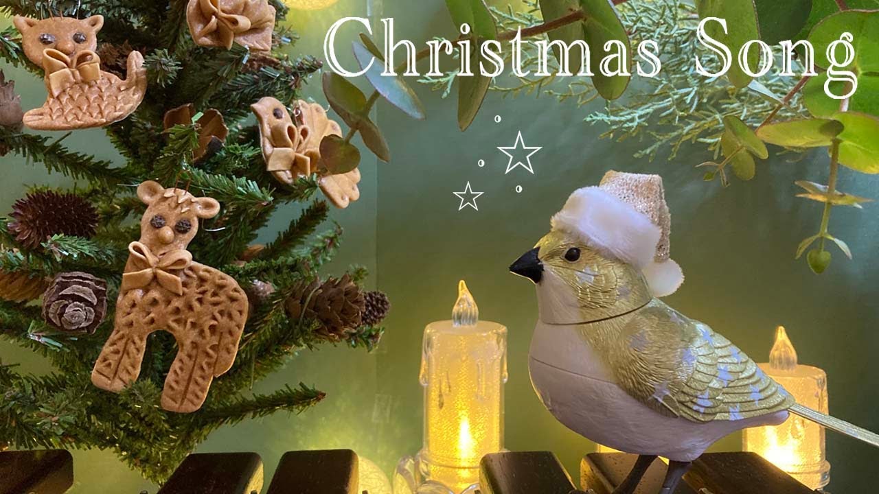 卓上木琴 演奏】Christmas song ミュージックバード（Desk Xylophone