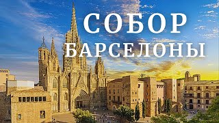 видео: Две ЖЕМЧУЖИНЫ готики в БАРСЕЛОНЕ - КАФЕДРАЛЬНЫЙ СОБОР  и АРХИВ АРАГОНА картинка: Две ЖЕМЧУЖИНЫ готики в БАРСЕЛОНЕ - КАФЕДРАЛЬНЫЙ СОБОР  и АРХИВ АРАГОНА