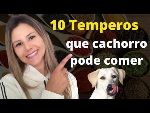 Vídeo: Como induzir o parto em cães