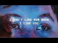 Francis Karel -  I Don't Like How Much I Like You (Lyric Video)