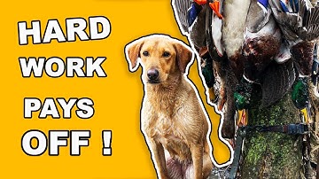 Duck Hunting Club | Building Blinds and Creating Habitat | Web Series EP2