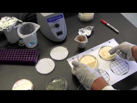 Patch plating