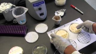 Patch plating