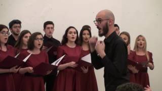 Koncerti Tradicional 2017