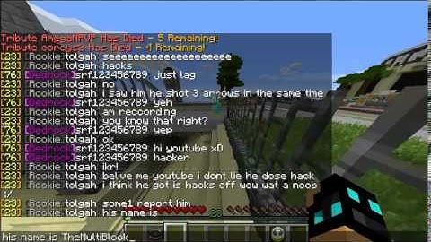 minecraft hacker in minecraft central