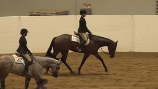 191018 Level 1 Youth Hunter Under Saddle 14 18 Tianna Cooper on Indie Blue Zone