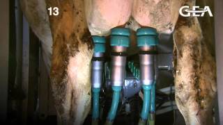 Download Lagu GEA Dairy Farming - Monobox: In-liner everything MP3