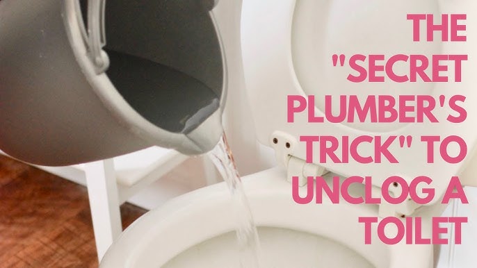 How to Unclog a Toilet - Clogged toilet TRADE SECRET