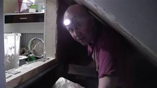 Loft Conversion Day 5
