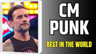 CM PUNK - Best in the World Documentary Net Worth