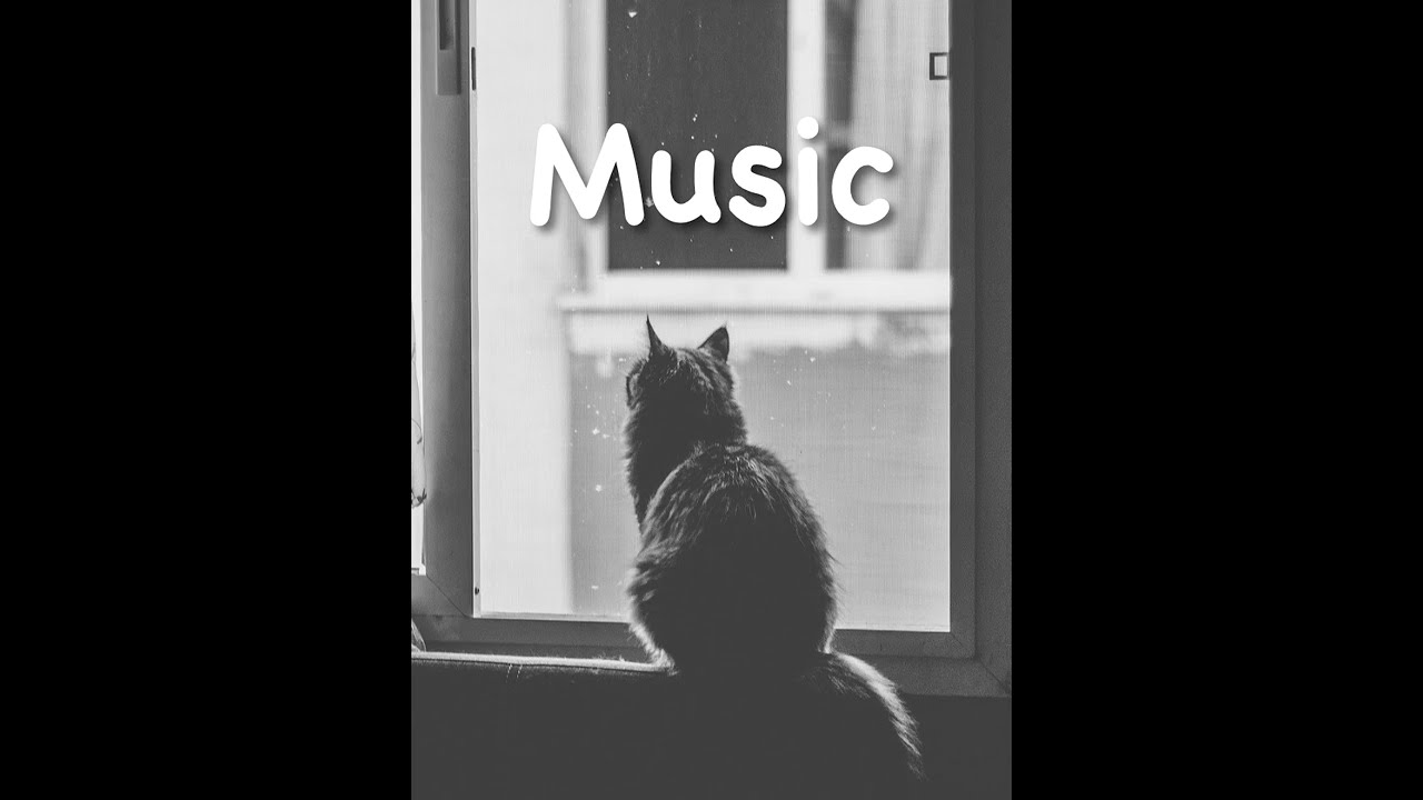 Out of the window (SlowTempo Chill Lofi Relax BGM)