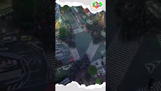 PEREMPATAN TERSIBUK DI DUNIA, SHIBUYA CROSSING #jepang #informasiunik #kisahnyata