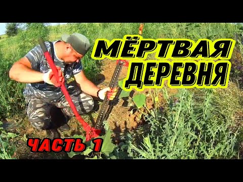 Покинутая деревня, МЕТАЛЛОКОП. #hunting #поисксметаллоискателем #заработок #metaldetecting #коп