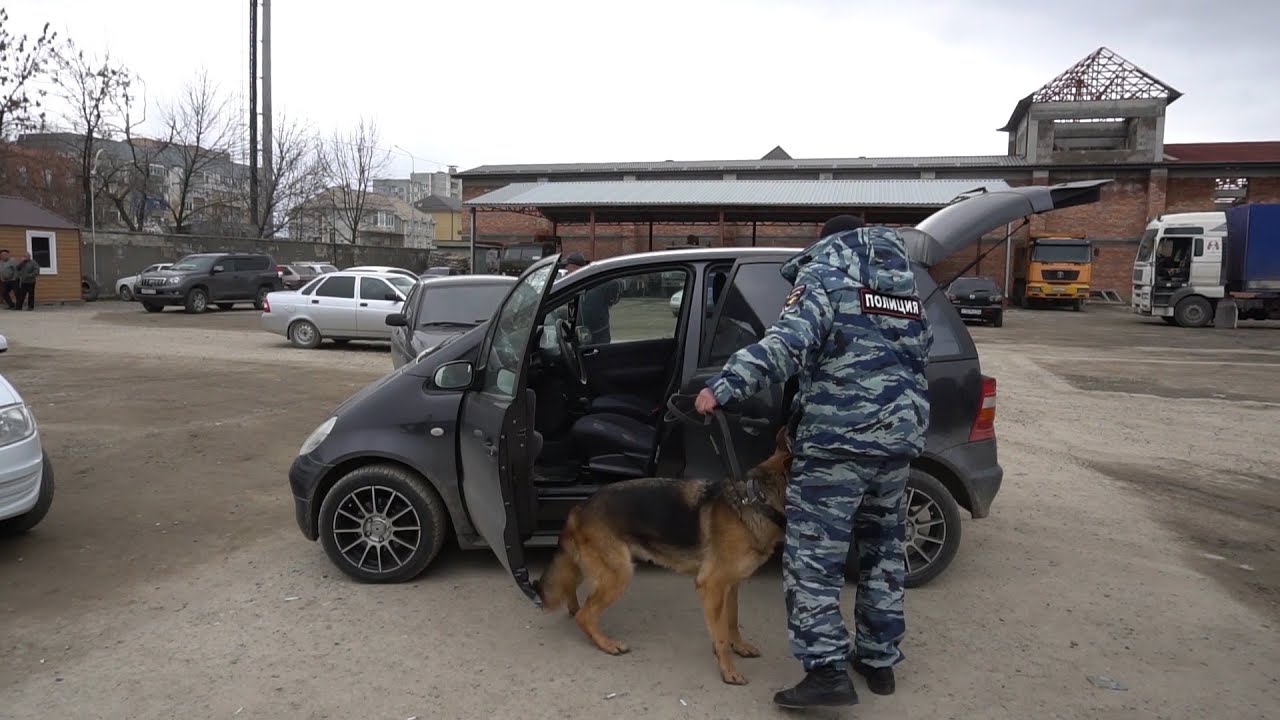 Бином ворошилова авто