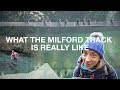 What the Milford Track is really like (NZ Hiking)