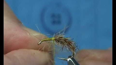 Tying the Organza Emerger Caddis by Davie McPhail