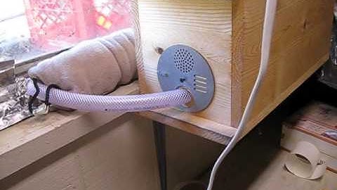 Moving observation hive into the house with cold swarm Part 2 of 2