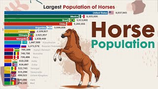 Which country has the Most Horses