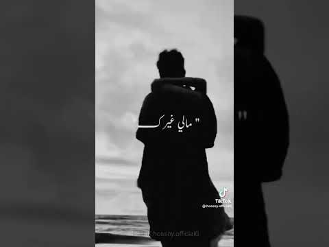 عمرو دياب وماله